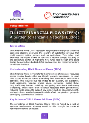 Illicit Financial Flows (IFFs): A burden to Tanzania National Budget
