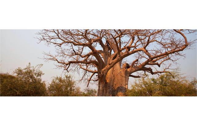 Tax Equity Training manual for Tanzania